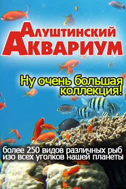 Алуштинский Аквариум